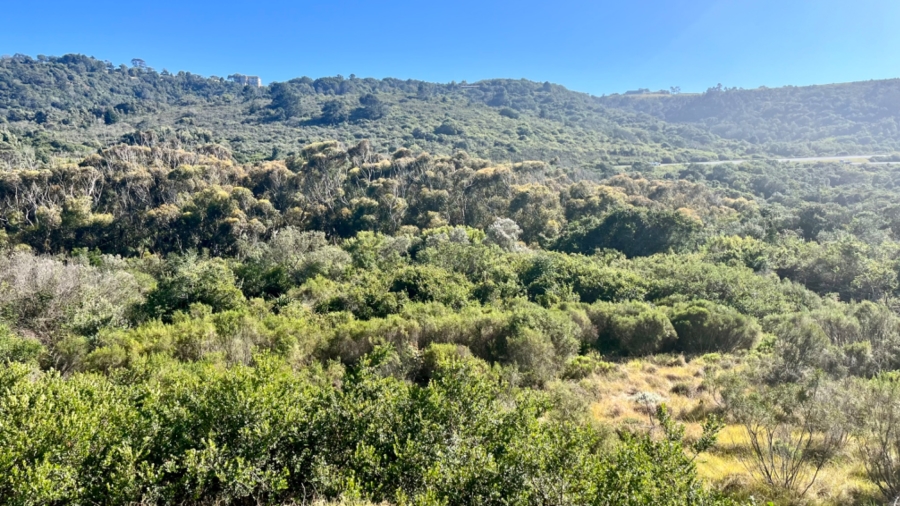 Commercial Property for Sale in Pienaarstrand Western Cape